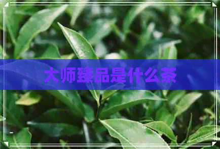 大师臻品是什么茶