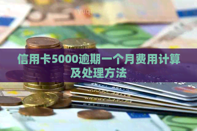 信用卡5000逾期一个月费用计算及处理方法