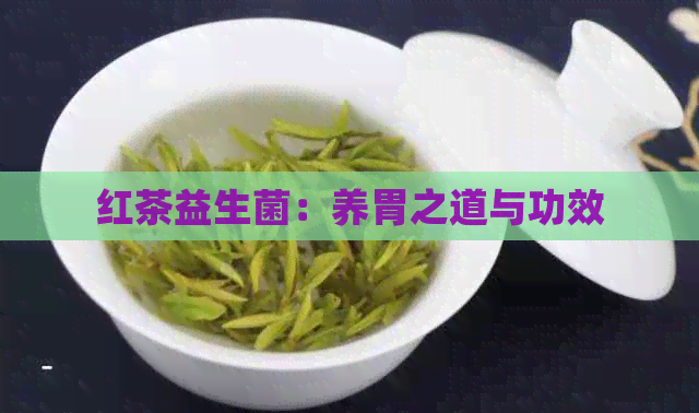 红茶益生菌：养胃之道与功效