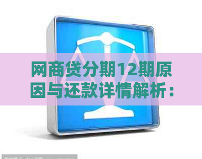 网商贷分期12期原因与还款详情解析：为什么选择12期？