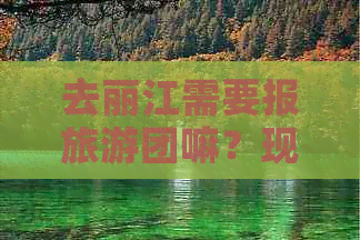 去丽江需要报旅游团嘛？现在去丽江旅游是否必须跟团？带哪些证件？