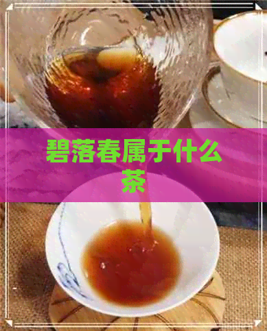 碧落春属于什么茶