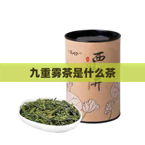 九重雾茶是什么茶