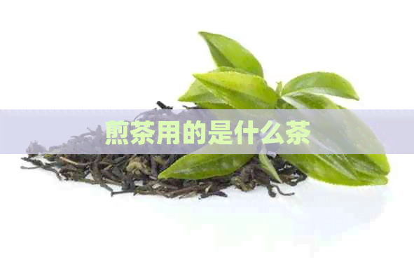 煎茶用的是什么茶