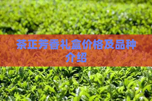 茶正芳香礼盒价格及品种介绍