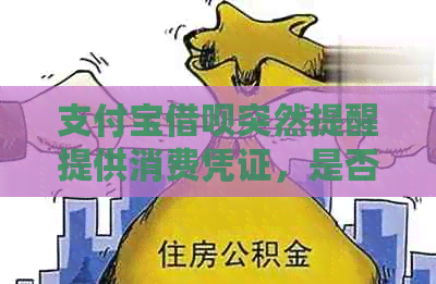 支付宝借呗突然提醒提供消费凭证，是否真实存在逾期还款情况？