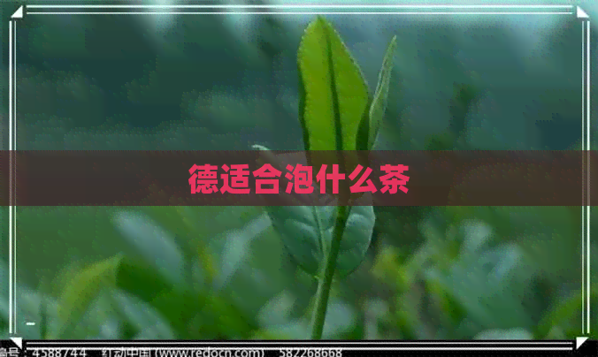 德适合泡什么茶