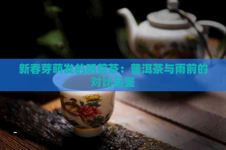 新春芽萌发的明前茶：普洱茶与雨前的对比品鉴