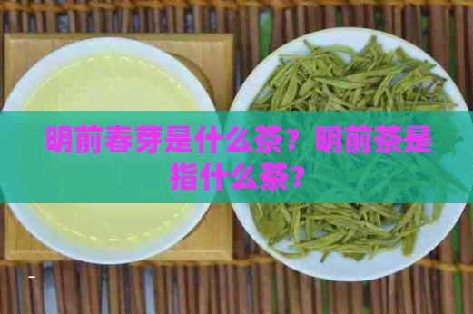 明前春芽是什么茶？明前茶是指什么茶？