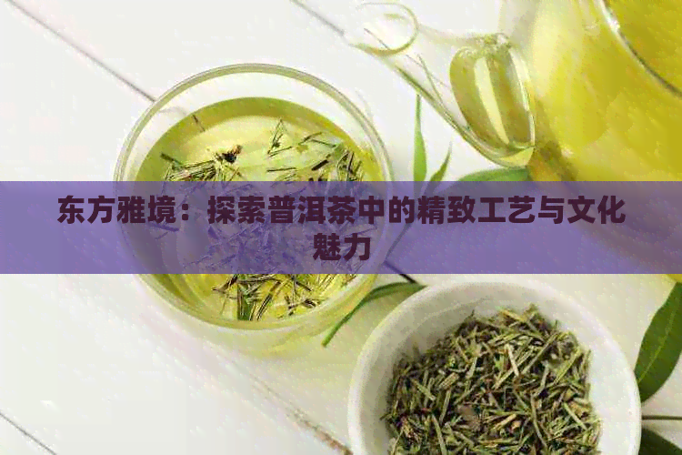 东方雅境：探索普洱茶中的精致工艺与文化魅力