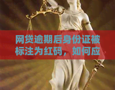 网贷逾期后身份证被标注为红码，如何应对公安部门的处理？