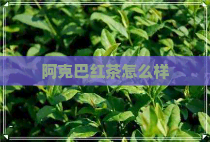 阿克巴红茶怎么样