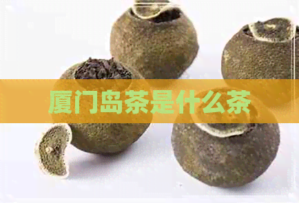 厦门岛茶是什么茶