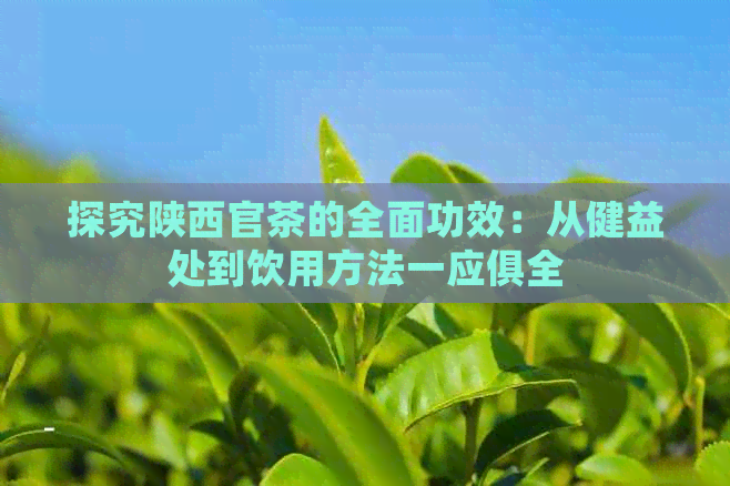 探究陕西官茶的全面功效：从健益处到饮用方法一应俱全