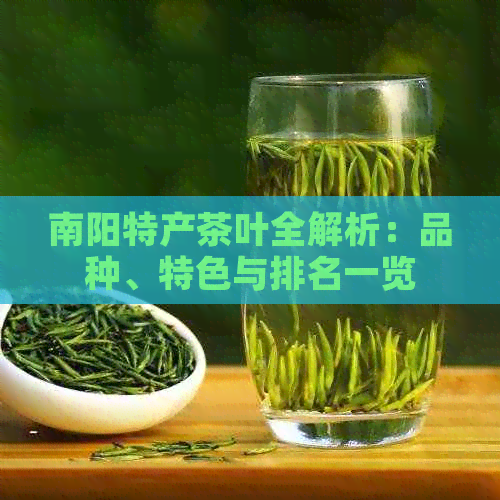 南阳特产茶叶全解析：品种、特色与排名一览