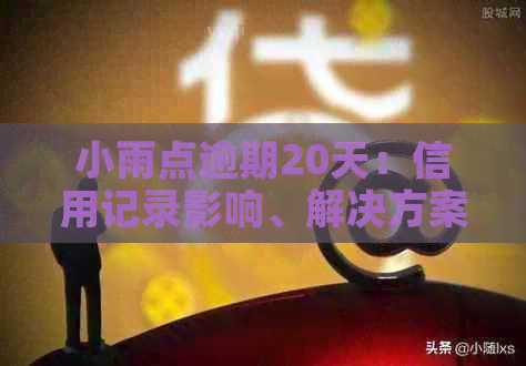 小雨点逾期20天：信用记录影响、解决方案及查询全解析