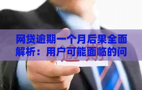 网贷逾期一个月后果全面解析：用户可能面临的问题及应对策略