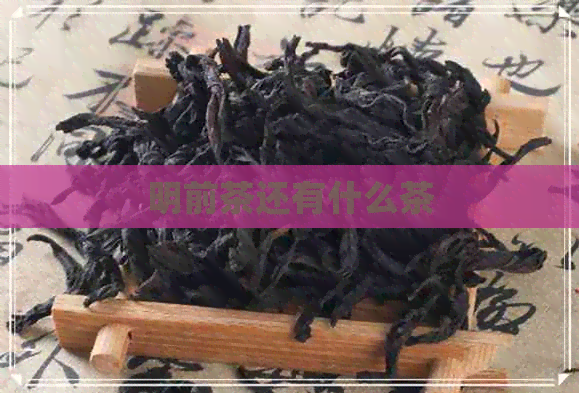 明前茶还有什么茶