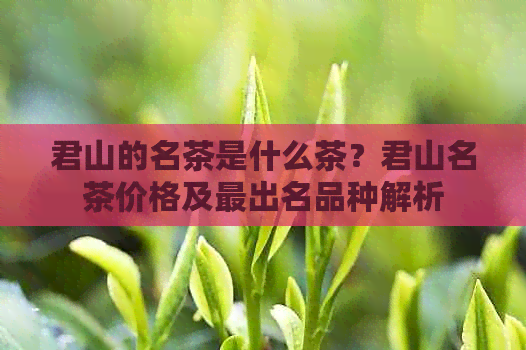 君山的名茶是什么茶？君山名茶价格及最出名品种解析