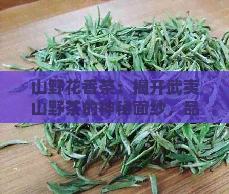 山野花香茶：揭开武夷山野茶的神秘面纱，品味不一样的红茶世界