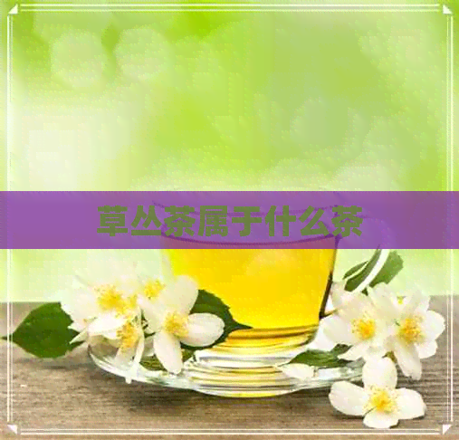 草丛茶属于什么茶