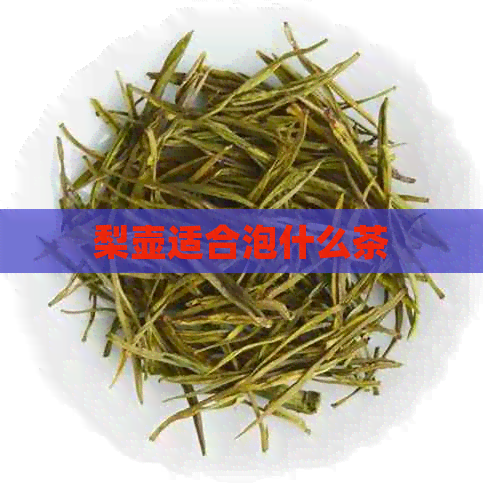 梨壶适合泡什么茶