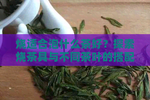 烧适合泡什么茶好？探索烧茶具与不同茶叶的搭配