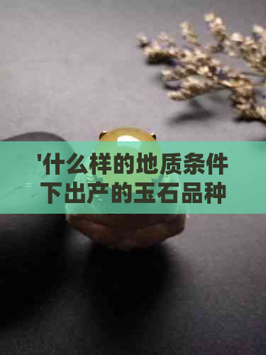 '什么样的地质条件下出产的玉石品种多且价值高？哪种质地更好？'