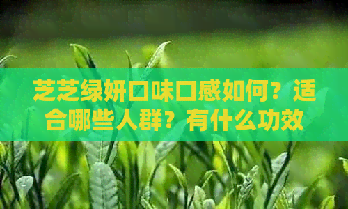 芝芝绿妍口味口感如何？适合哪些人群？有什么功效与副作用？详细评测解析