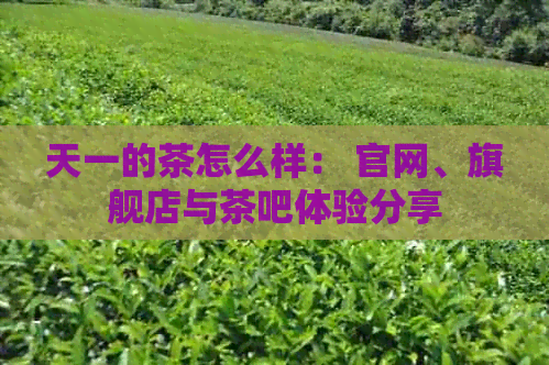 天一的茶怎么样： 官网、旗舰店与茶吧体验分享