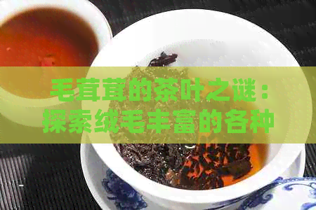 毛茸茸的茶叶之谜：探索绒毛丰富的各种茶类特点与得名