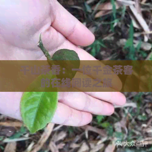 千山茶香：一位千金茶客的在线阅读之旅