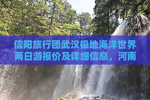 信阳旅行团武汉极地海洋世界两日游报价及详细信息，河南信阳旅行社地址电话