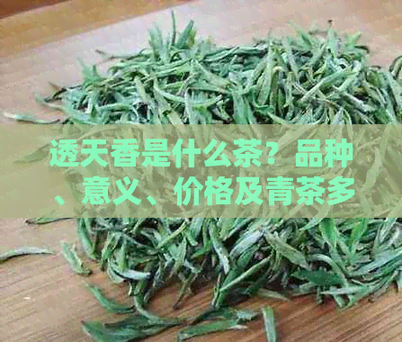 透天香是什么茶？品种、意义、价格及青茶多少钱？