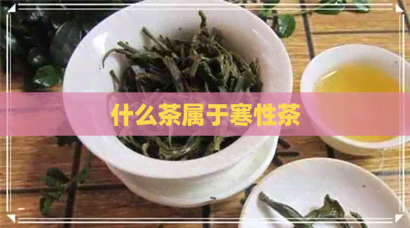 什么茶属于寒性茶