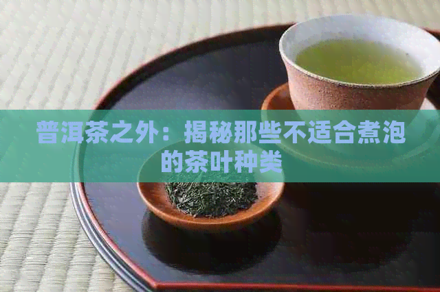 普洱茶之外：揭秘那些不适合煮泡的茶叶种类