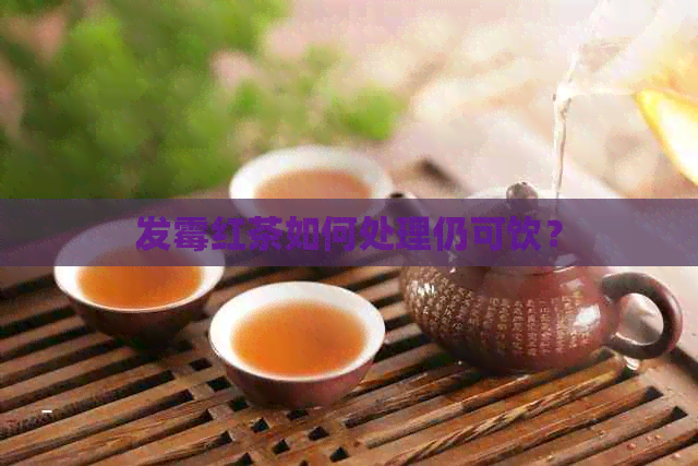 发霉红茶如何处理仍可饮？