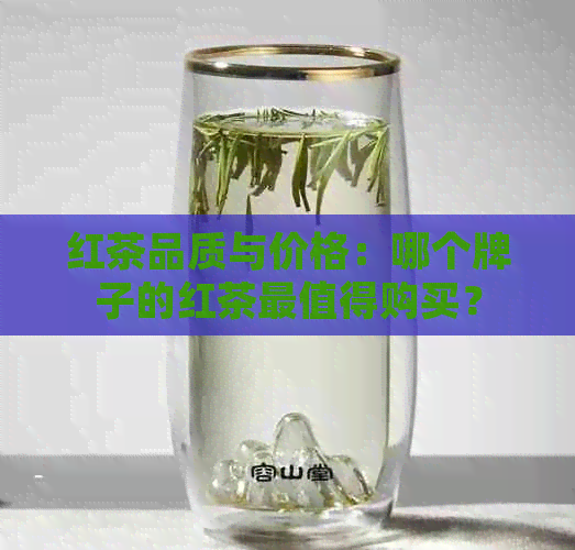 红茶品质与价格：哪个牌子的红茶最值得购买？