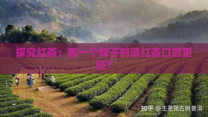 探究红茶：哪一个牌子的滇红茶口感更佳？