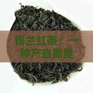 锡兰红茶：一种产自斯里兰卡的迷人茶叶，品味其独特风味