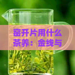 窑开片用什么茶养：金线与漂亮，哪种更佳？