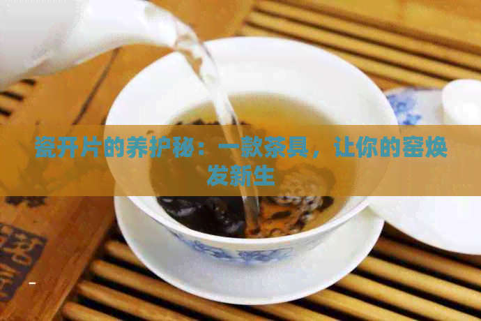 瓷开片的养护秘：一款茶具，让你的窑焕发新生