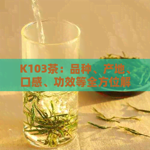 K103茶：品种、产地、口感、功效等全方位解析，让你了解这款茶叶的全貌