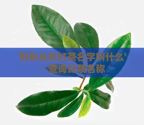 '好彩头的红茶名字叫什么' - 查询红茶名称