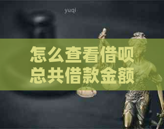 怎么查看借呗总共借款金额，未还款和已还款情况