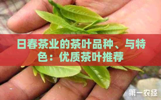 日春茶业的茶叶品种、与特色：优质茶叶推荐