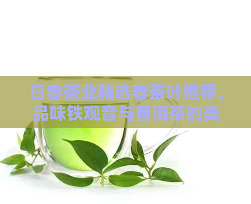 日春茶业精选春茶叶推荐，品味铁观音与普洱茶的美妙滋味