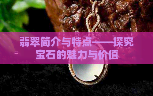 翡翠简介与特点——探究宝石的魅力与价值