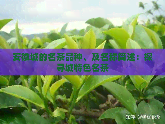 安徽城的名茶品种、及名称简述：探寻城特色名茶