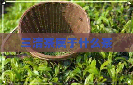 三清茶属于什么茶